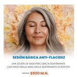 SESIÓN BÁSICA ANTI-FLACIDEZ