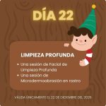 Día 22 ~ Limpieza Profunda