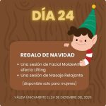 Día 24 ~ Regalo de Navidad