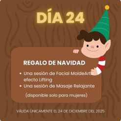 Día 24 ~ Regalo de Navidad