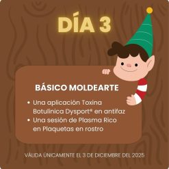 Día 3 ~ Básico MoldeArte