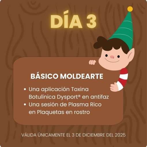 Día 3 ~ Básico MoldeArte